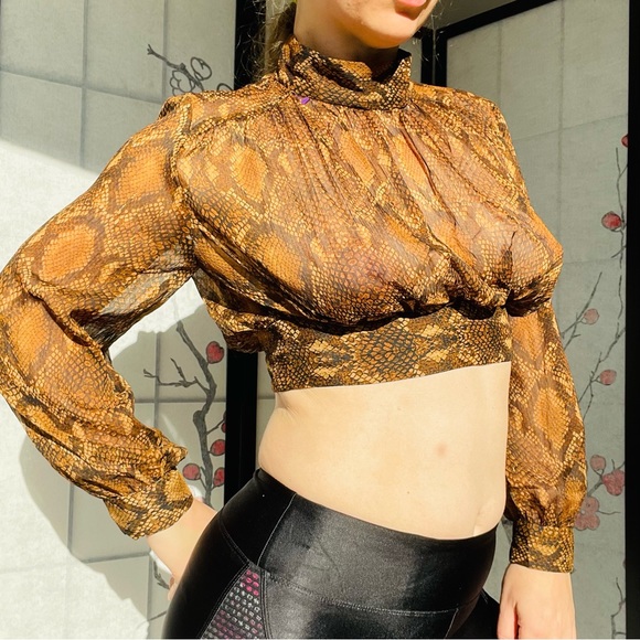 Zara Python Gold Dramatic Balloon Sleeves Sheer Crop Top - Picture 12 of 16